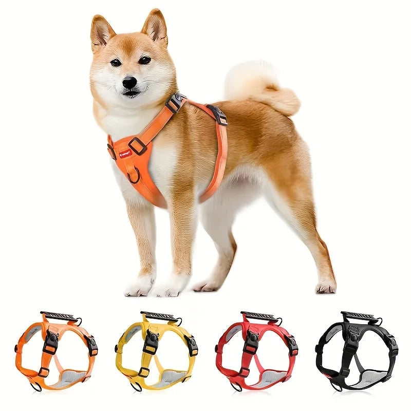 Pet Harness & Leash